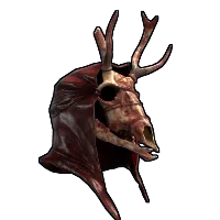 Skin's image