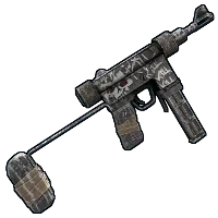 Skin's image