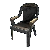 Skin's image