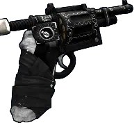 Skin's image