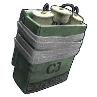 Skin's image
