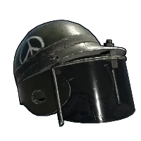 Skin's image