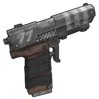 Skin's image