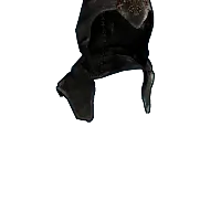 Skin's image