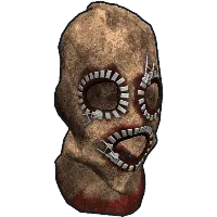 Skin's image