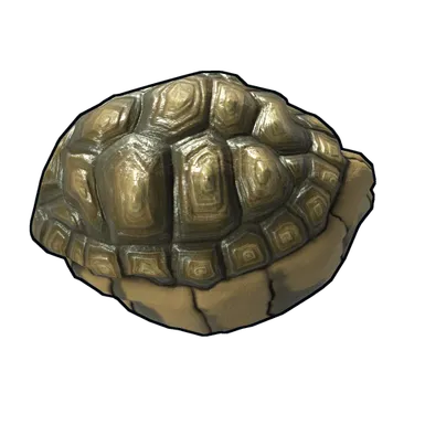 Skin's image