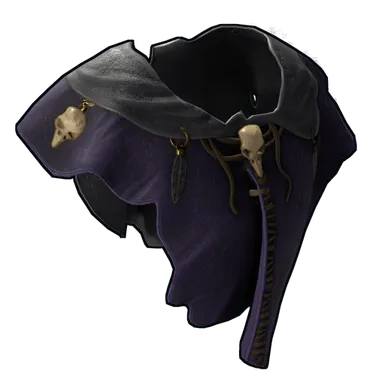 Skin's image
