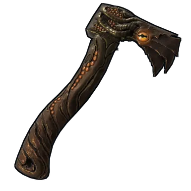 Skin's image