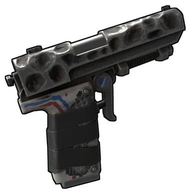 Skin's image