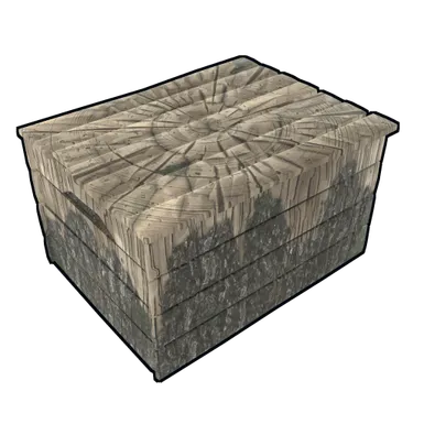 Skin's image