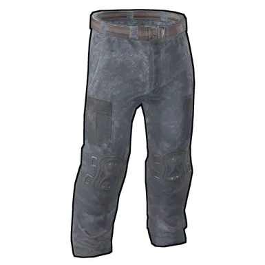 Skin's image