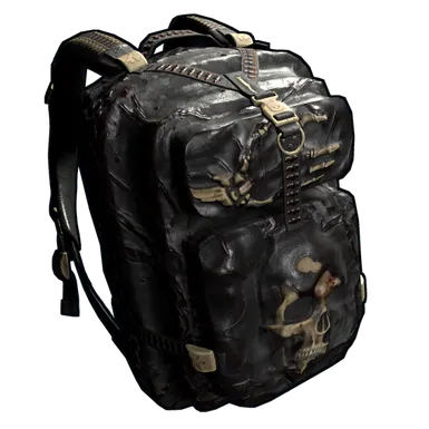 Skin's image