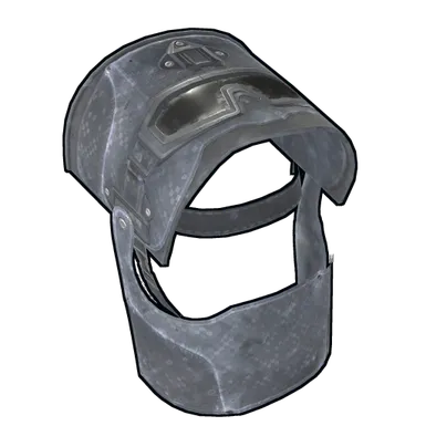Skin's image