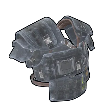 Skin's image
