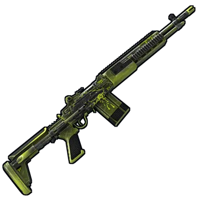 Skin's image