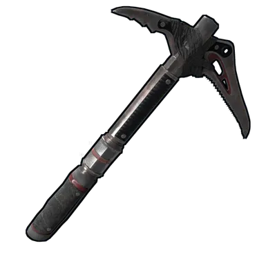 Skin's image
