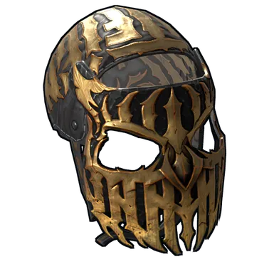 Skin's image