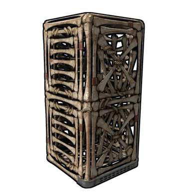 Skin's image