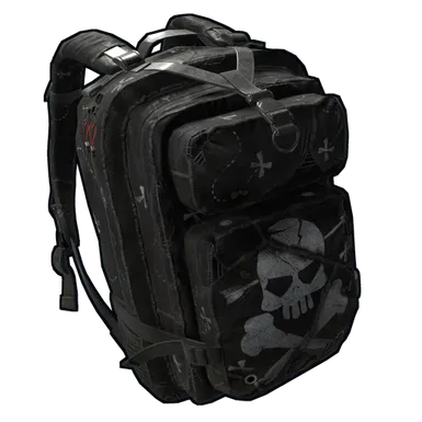 Skin's image