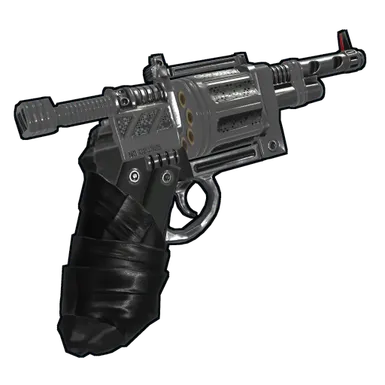 Skin's image