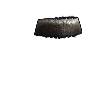 Skin's image
