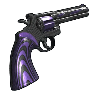 Skin's image