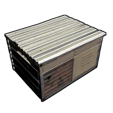 Skin's image