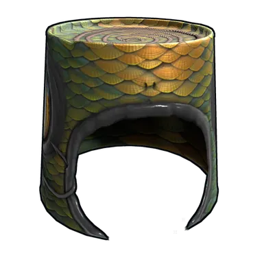 Skin's image