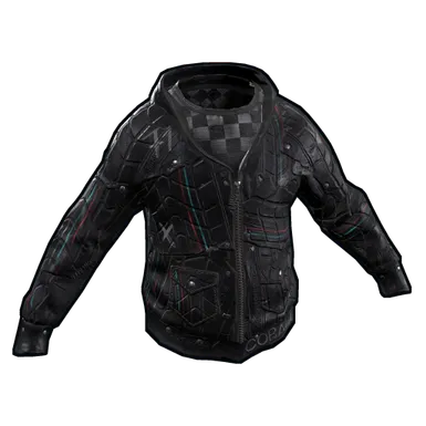 Skin's image