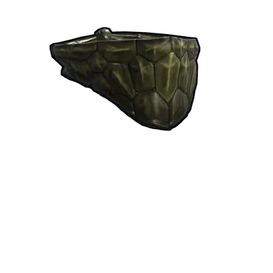 Skin's image