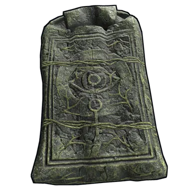 Skin's image