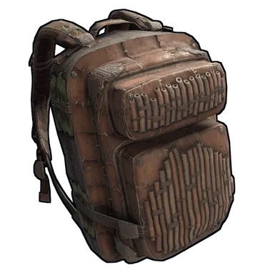Skin's image