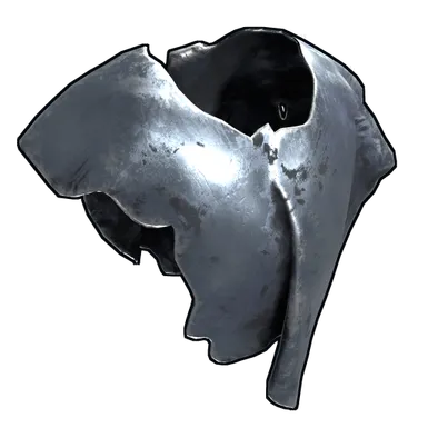 Skin's image