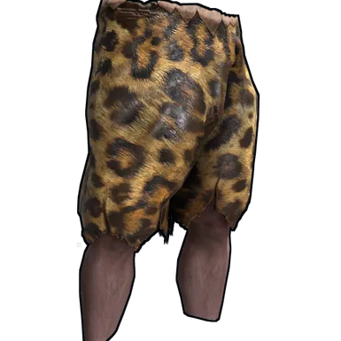 Skin's image