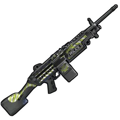 Skin's image