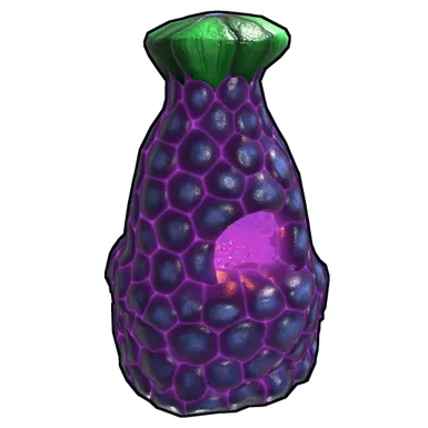 Skin's image