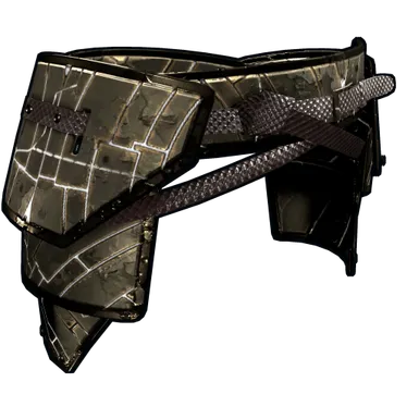 Skin's image