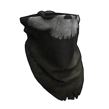 Skin's image