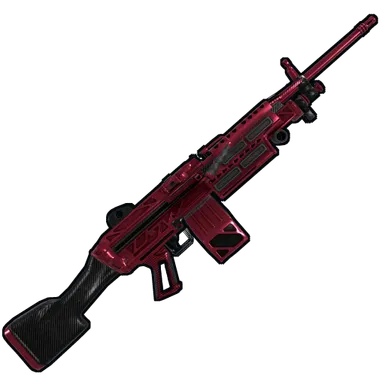 Skin's image