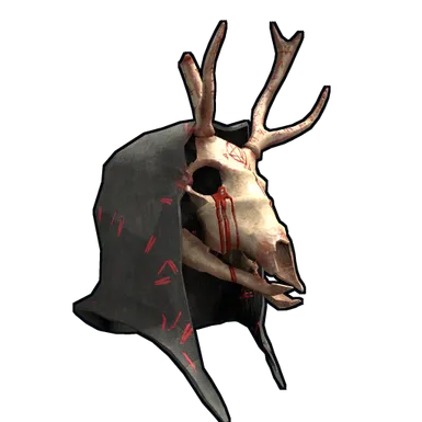 Skin's image