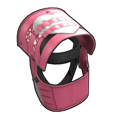 Skin's image