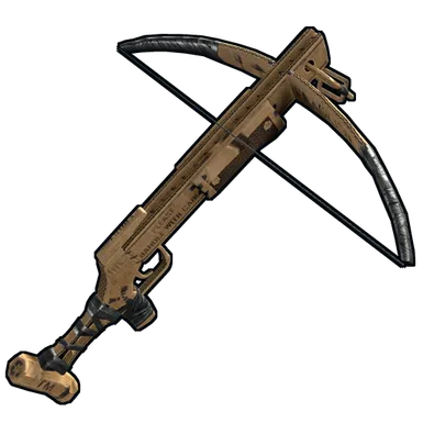Skin's image