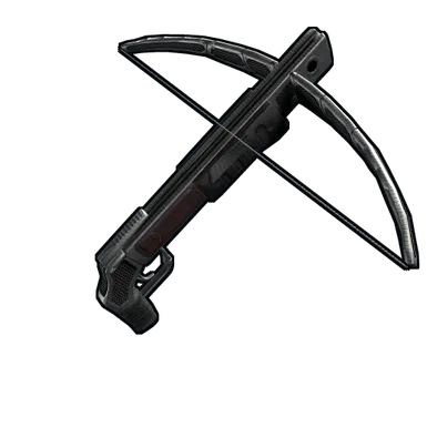Skin's image