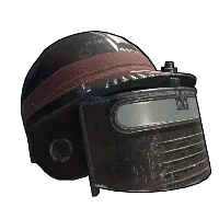 Skin's image
