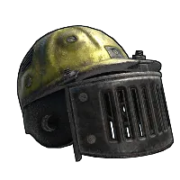Skin's image