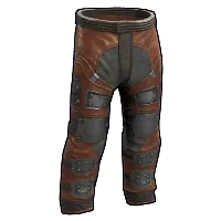 Skin's image