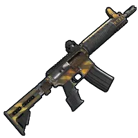 Skin's image