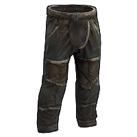 Skin's image