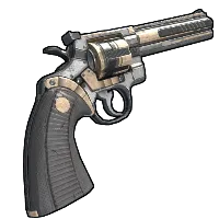 Skin's image