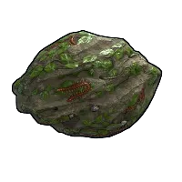 Skin's image